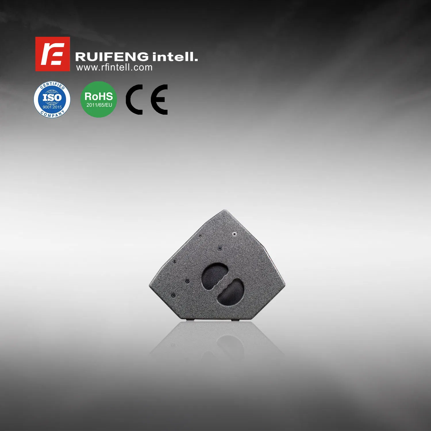 Powered Speaker System for Home Theater