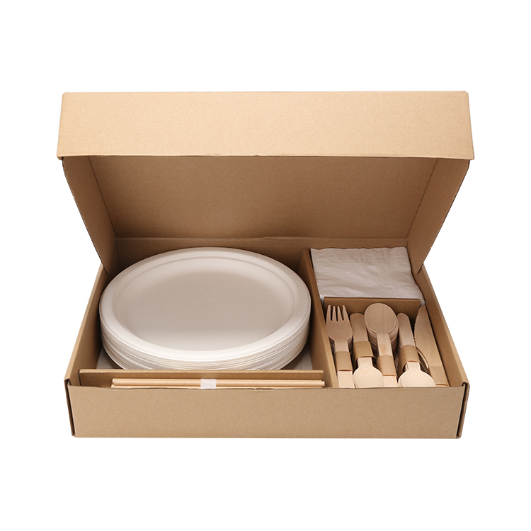 Christmas Home Party Dinnerware Set, Biodegradable Disposable Bagasse (40-people)