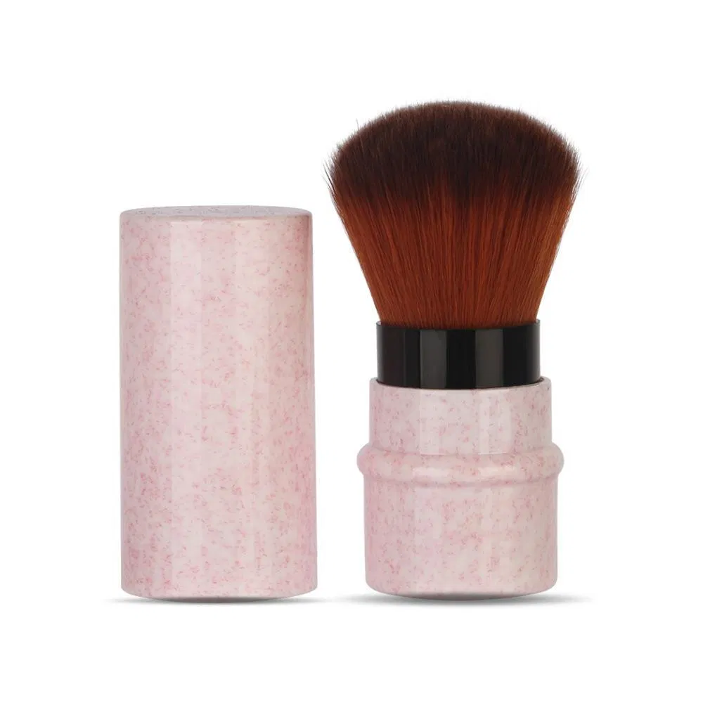 High Quality Wheat Straw Plastic Handle Telescoping Brush