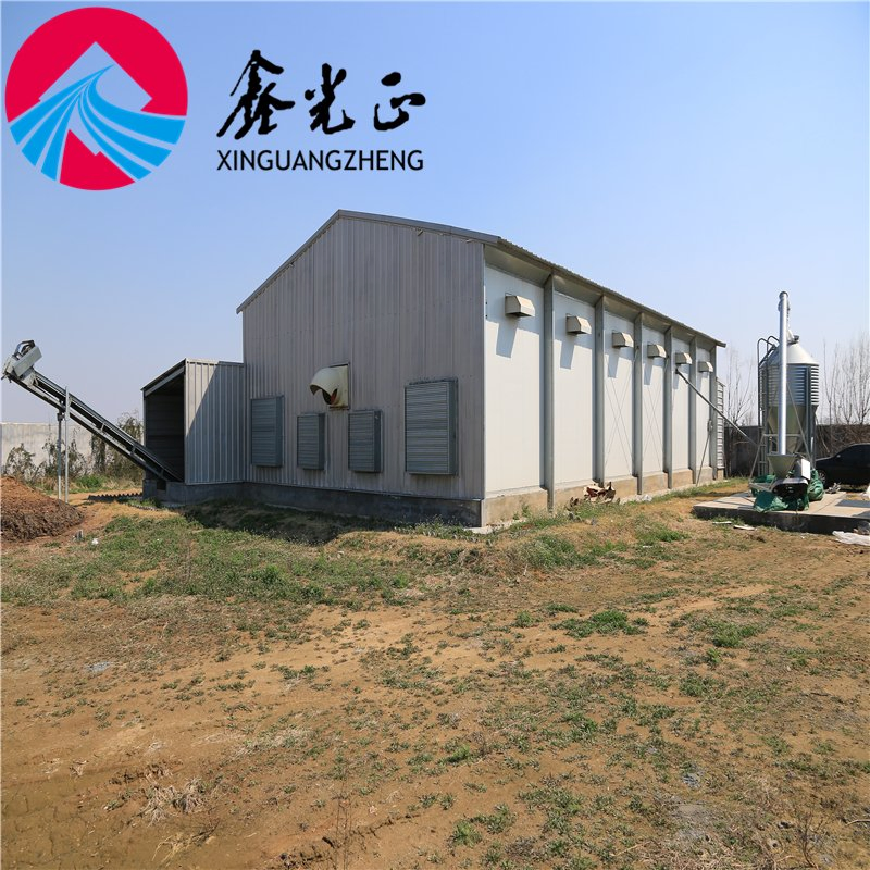 China Cheap Poultry Farming Prefabricated Steel Structure Farm Chicken House