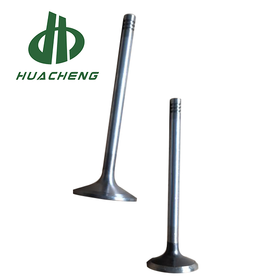 Клапан двигателя Volvo D7E для дизельных грузовиков