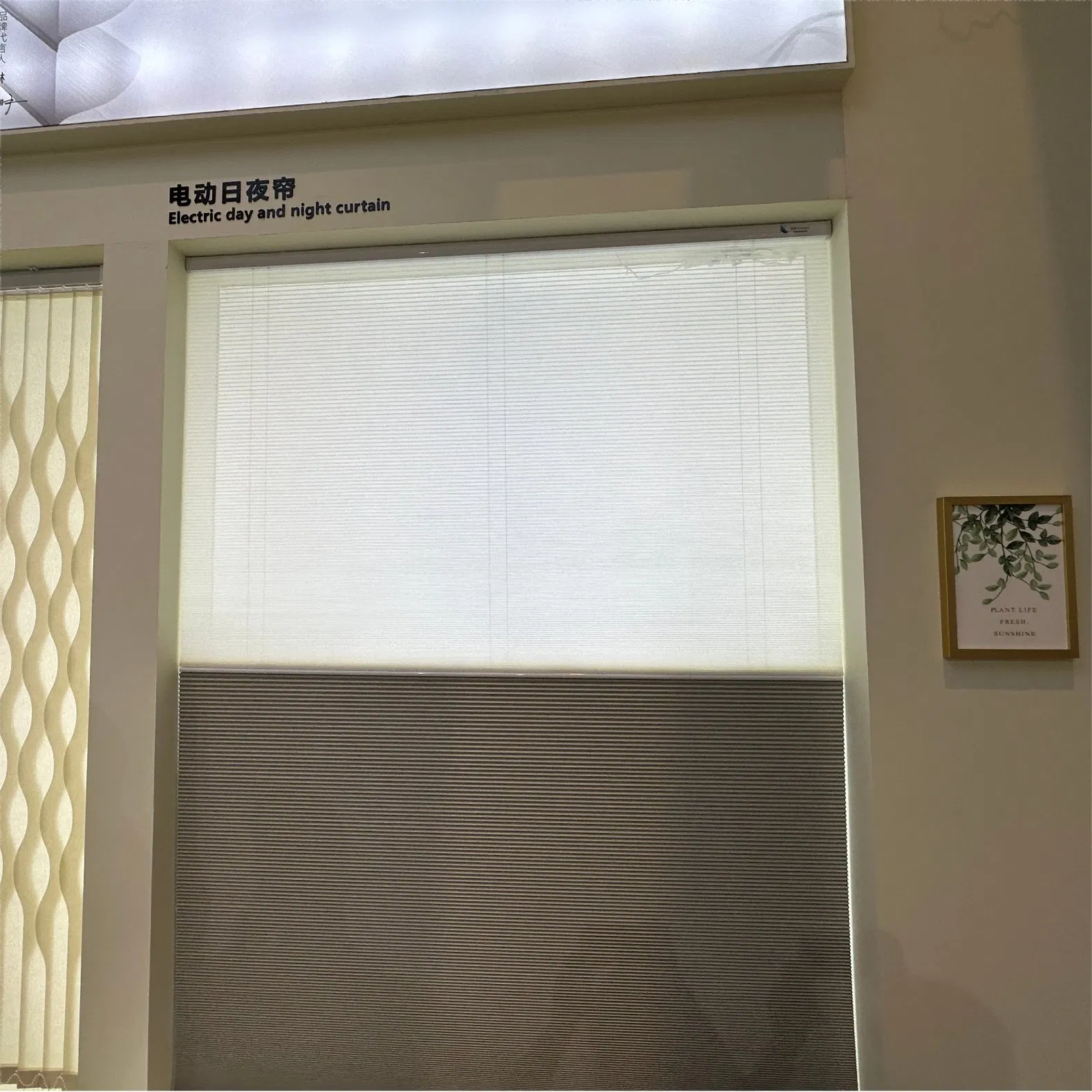Cordless Top Down Bottom up Cellular Shades Blackout Honeycomb Blinds