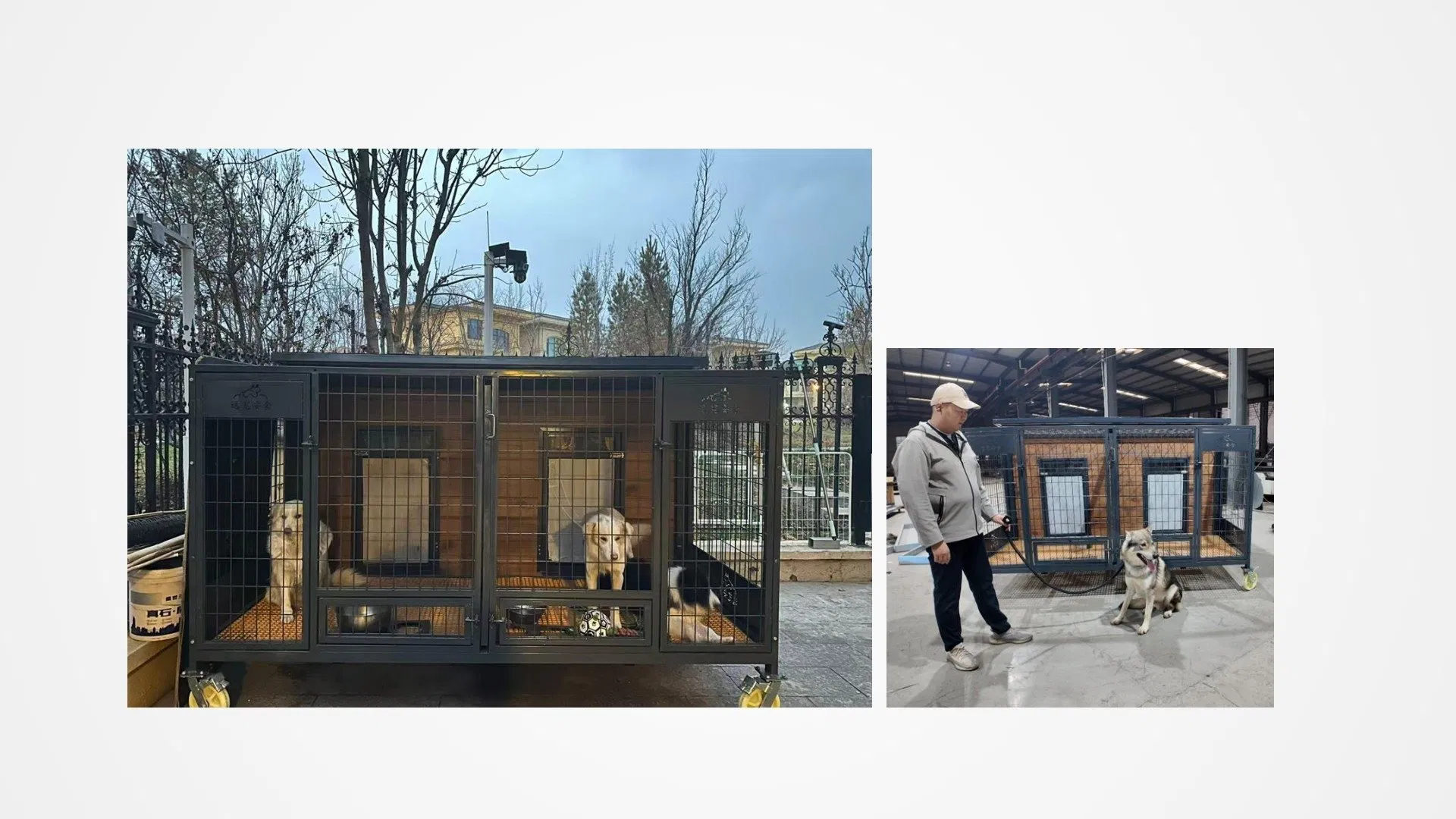 Weatherproof Outdoor Dog House with Balcony for Comfort