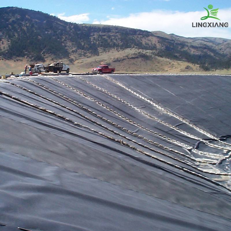 Reliable Waterproof Geomembrane for Fish Shrimp Pond and Biogas Applications Swimming Pool Agricultural Agriculture Aquaculture Water Storage Pool PVC Liner