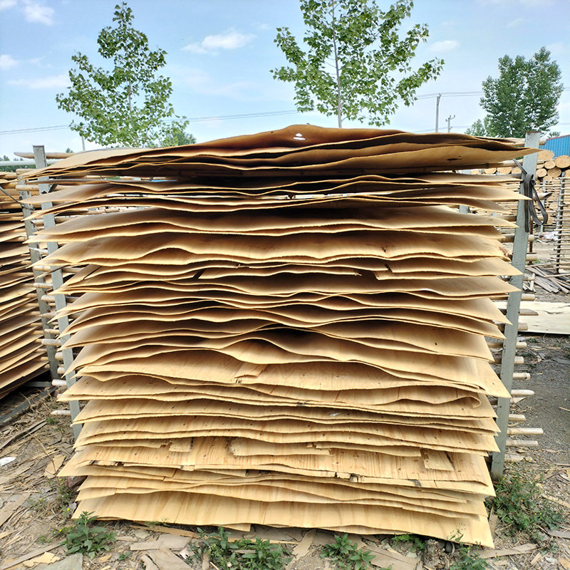 China Natural Wood Rotary Cutting 2520mm * 1270mm * 2.2mm Grade AA Pine Veneer for Plywood