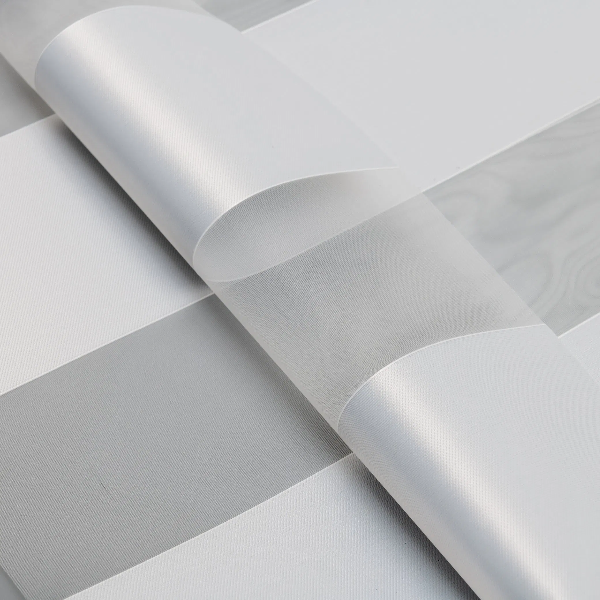 Sisheng Current Season Zebra Korea Blinds by Blackout of 100% Ployester Zg