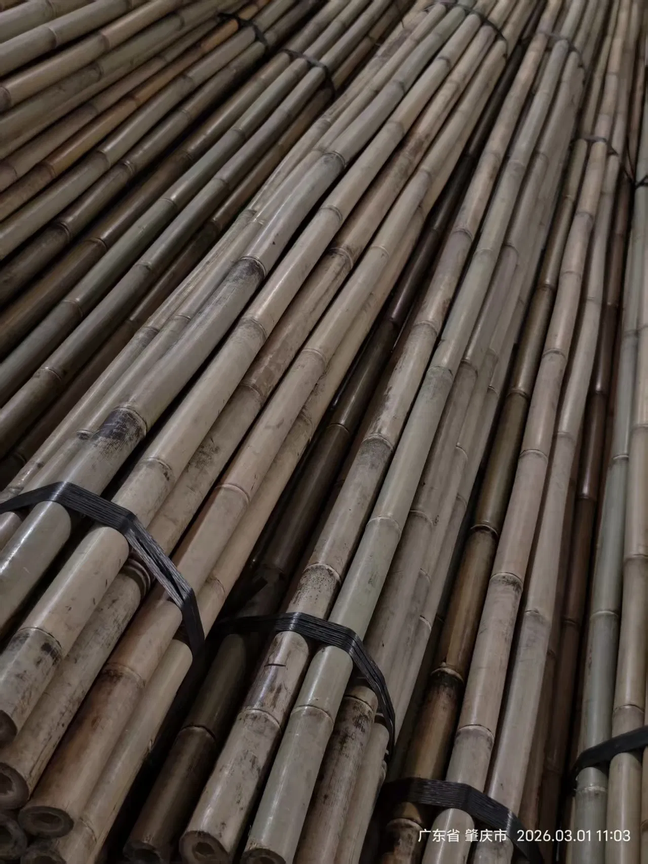 Tonkin Bamboo Pole Stake Stick Cane for Plant/Tree/Flower Support Bamboo F