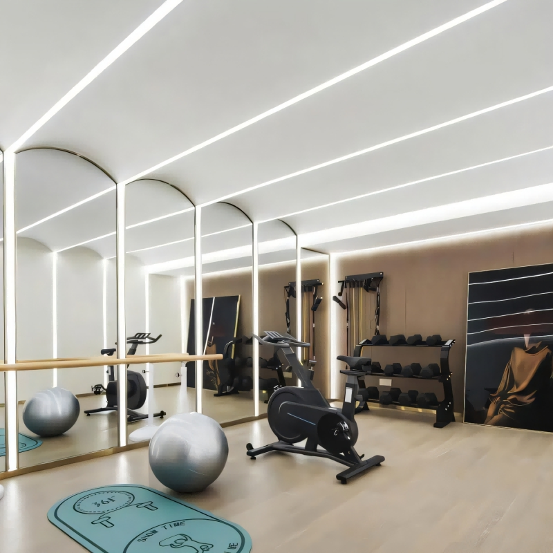 Luxury Large Rectangular Wall Mirror with Shatterproof Glass for Modern Home Decor/Gym/Dance Studio/Martial Arts Training/Fitting Room