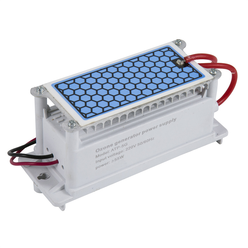 Portable Replacement 12/24/110/220V 5/10/15/20g Ceramic Plate Ozone Generator