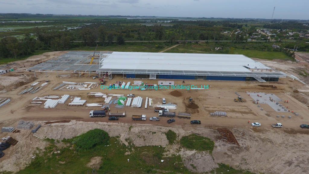 Steel Structure Shopping Mall Supermarket Building