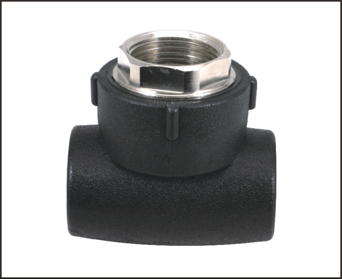 HDPE PE100 PE Pipe Fitting Reducing for Water Supply Pn16