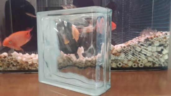 Watter Bubble Color Glass Brick for Wall