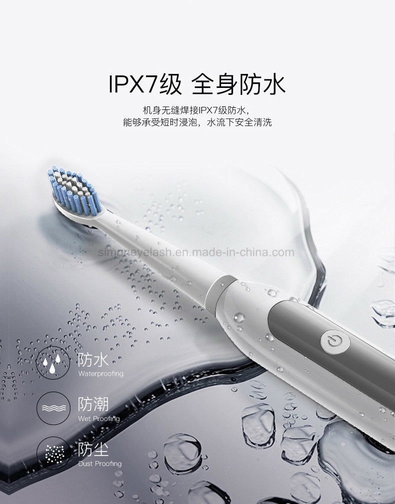 New Arrival Adult Waterproof Ipx7 Rechargeable Sonic Electric Toothbrush