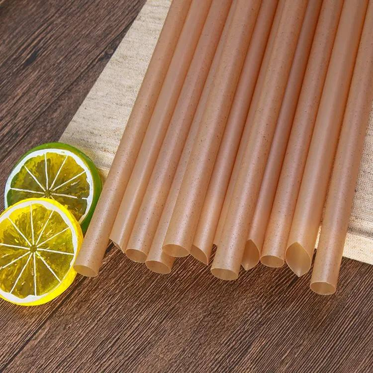 Eco-Friendly PLA Plastic Drinking Straws Biodegradable Sugarcane Fiber Bubble Tea Kitchen Christmas Halloween Decor