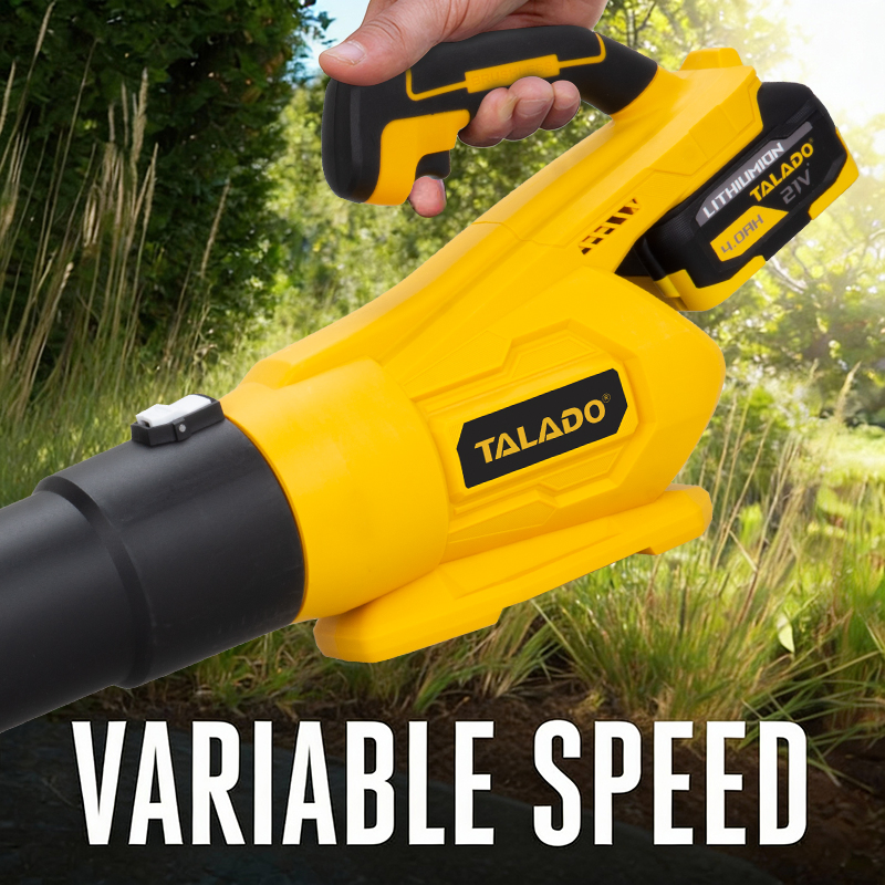 Adjustable Speed Blower for School Campus Efficient Performance Blower