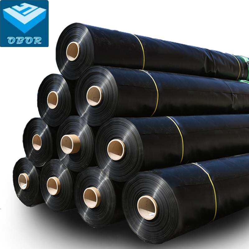 Waterproof Plastic HDPE Black Geomembrane Pond Lining for Wastewater Treatment