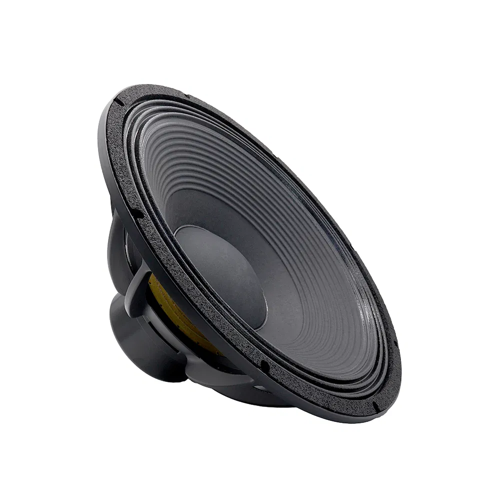 PRO-Audio Speaker 21 Inch Subwoofer PA Sound System Stage Sub OEM