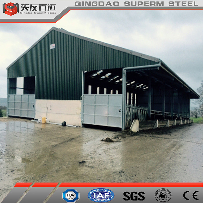 Prefabricated Cattle Goat House Steel Structure Dairy Farm Building