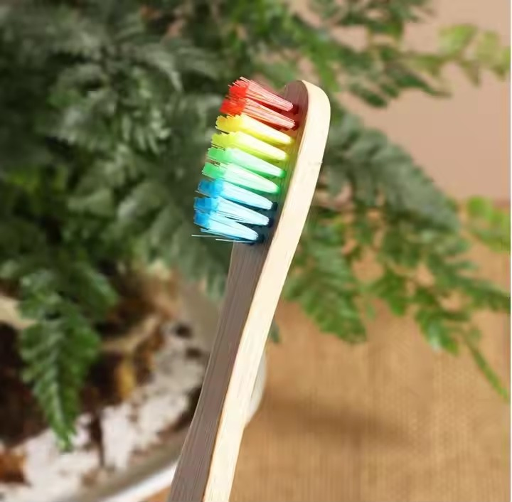Biodegradable Reusable Bamboo Toothbrush Eco-Friendly Bamboo Toothbrushes for Traveling