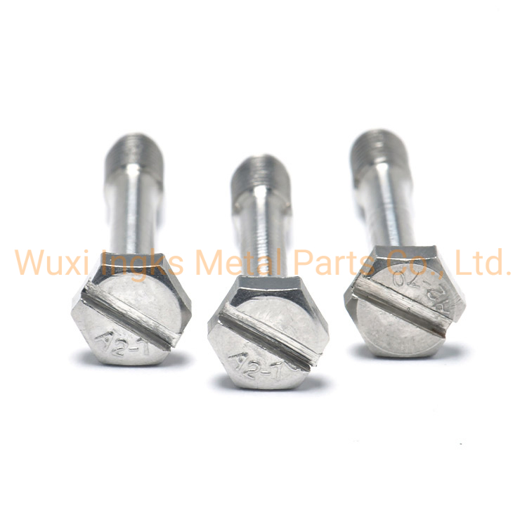 SS304 SS316 A2-70 A4-70 Slot Driver Slotted Hex Head Captive Screws