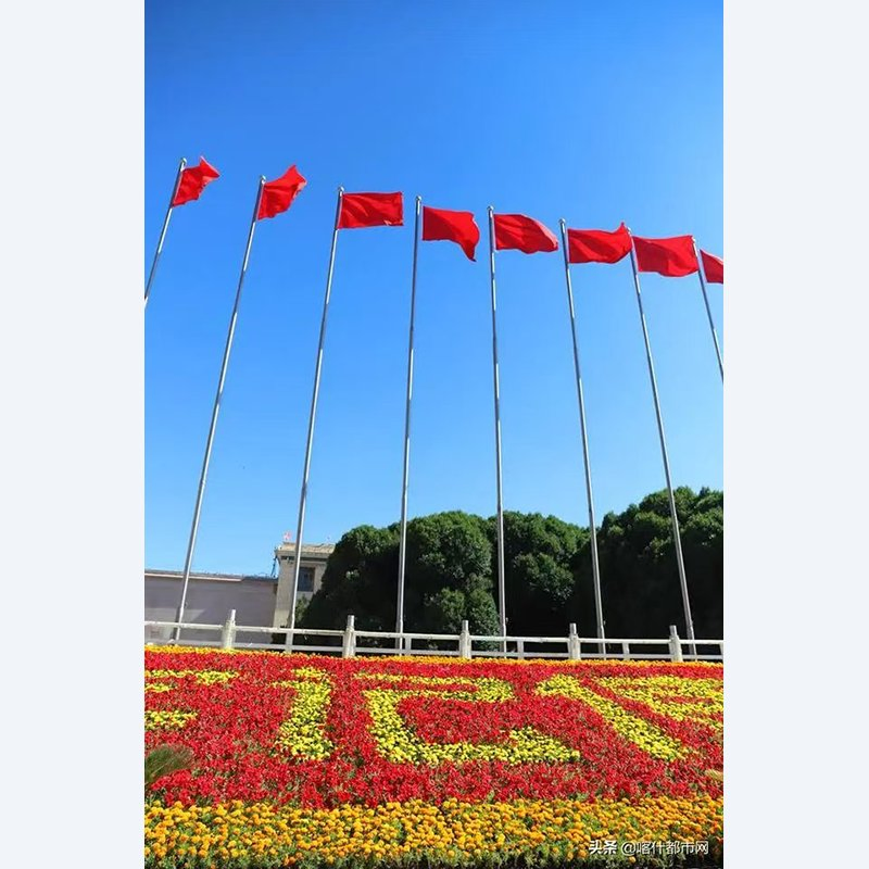 Premium Indoor Flag Stand with Heavy-Duty Base Options