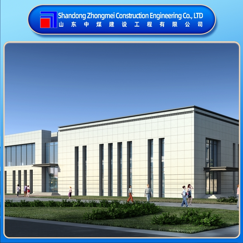 Steel Structure Construction Solution for Steel Structure Warehouse Building Projects Including Steel Structure House and Industrial Steel Workshop Applications