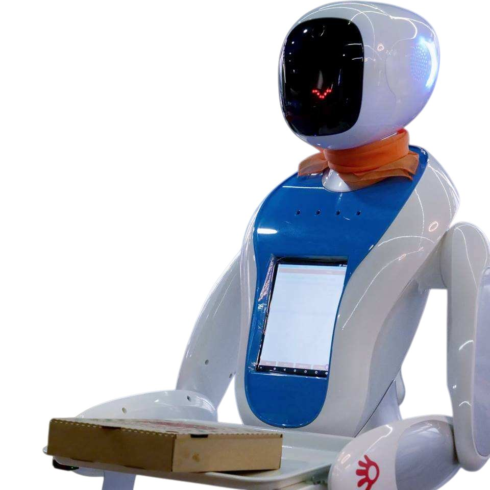 Professional - Intelligent Food Delivery - Full Process Guaranteed by Amy Robot