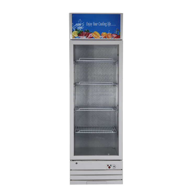 LC-268 Litters Upright Showcase with Glass Door and 12V DC Compressor