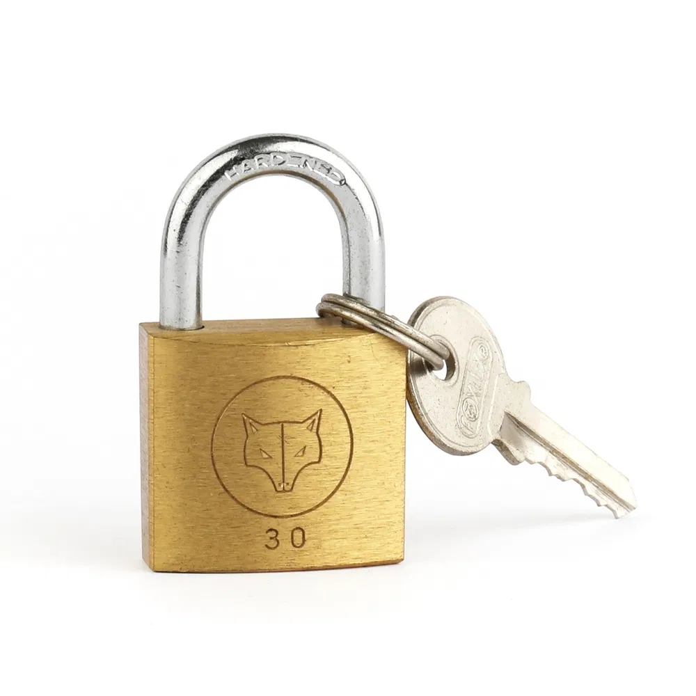 Anti-Rust 40mm 5-Pin Keyed Brass Heavy Duty Padlock for Container