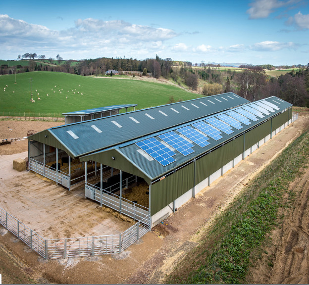 Steel Structure Poultry House for 10000 Chickens Poultry Farm