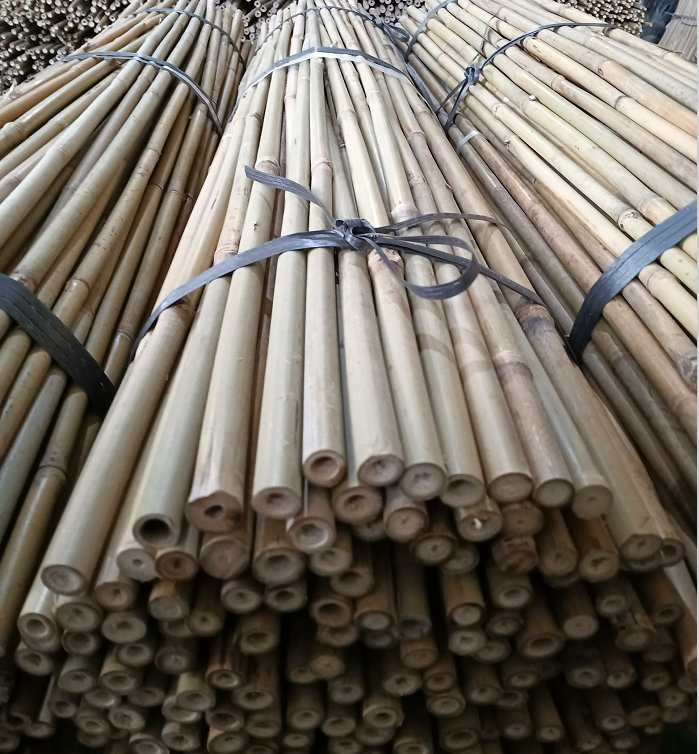 Tonkin Bamboo Poles Used for Flower Racks on Garden Farms/Bamboo Rods Straight