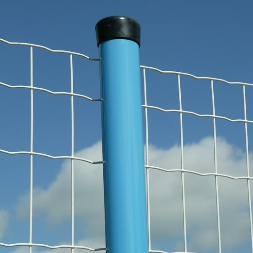 China Exporting PVC Coated 3D Wire Mesh Fencing