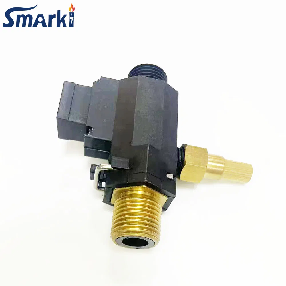 Gas Water Heater Boiler Spare Parts Water Flow Switch