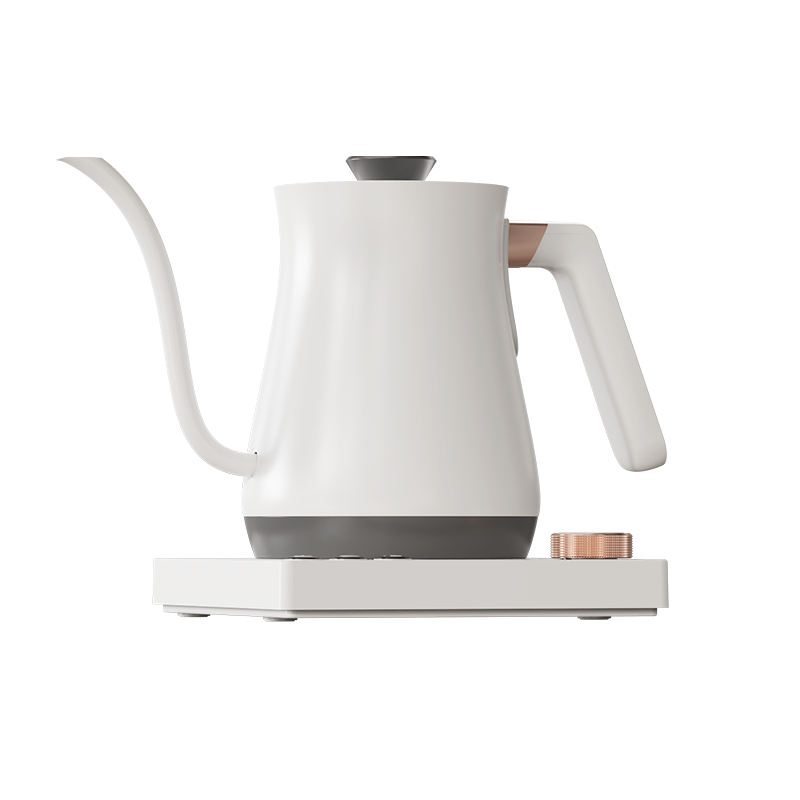 Ranbem Automatic Shut off 1000 Watt Quick Heating Temperature Control Hot Water Boiler Pour Over Tea Kettle