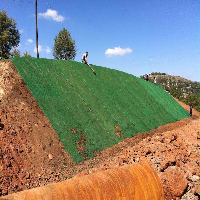 2. China Supplier Geomat 3D Composite Protecting Layer for Erosion Control