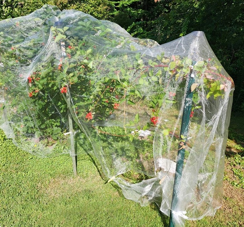 Garden Netting Pest Barrier Fine Bug Netting for Garden Protection Row Cover Raised Bed Screen Mesh Greenhouse Mosquito Net, Protecting Tree Plants Vegetable