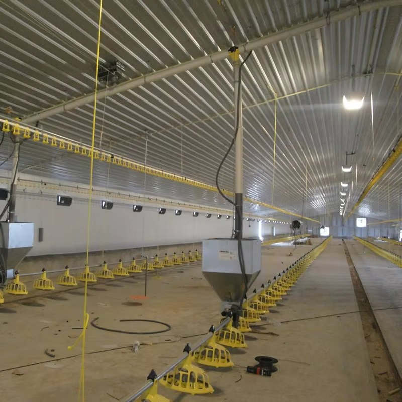 Ibeehive Low Cost Ventilation Truss Roof Dairy Cow Shed