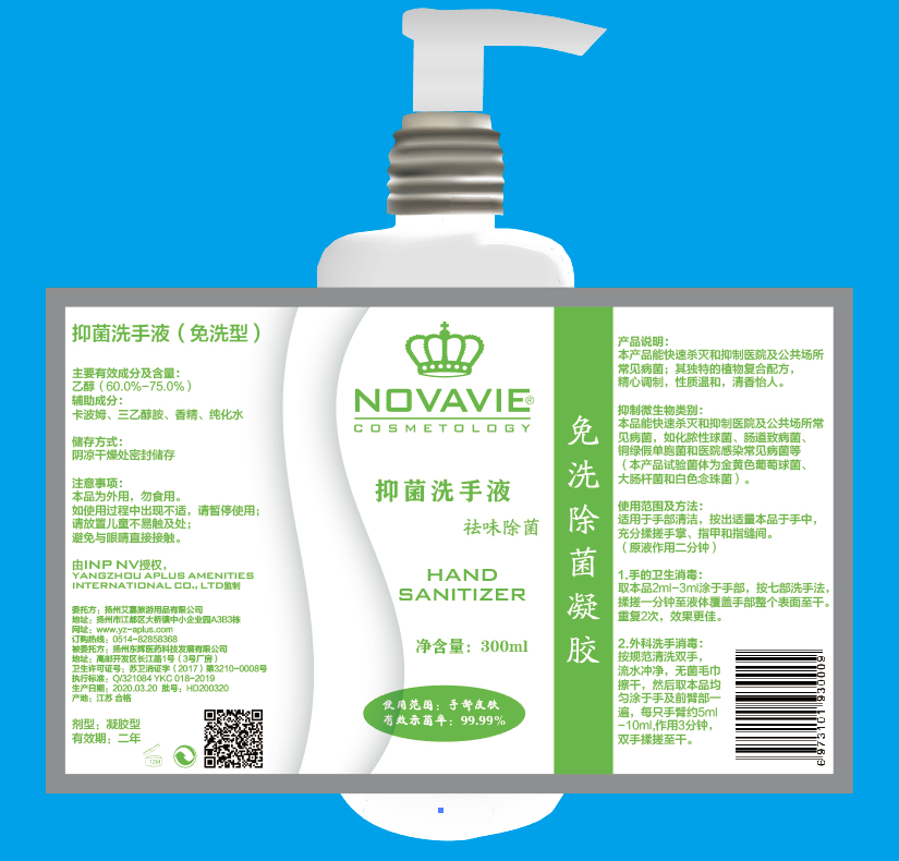 300ml Custom Logo Hand Sanitizer Soap 10