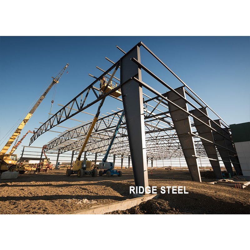 Prefabricated Steel Completed Buildings for Hangar and Shed Workshop