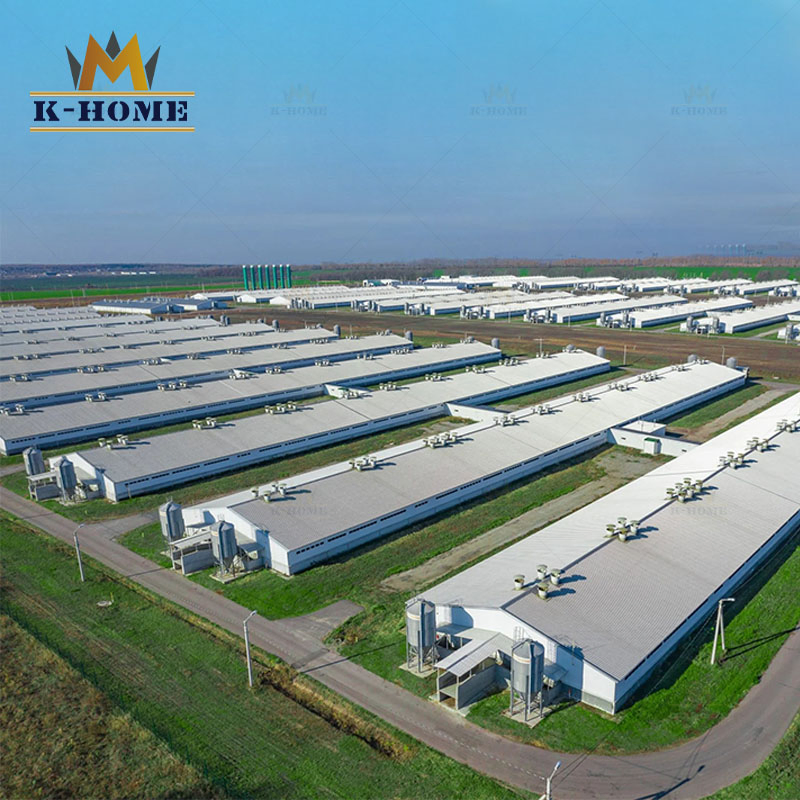 Light H Section Steel Frame Prefab Poultry Full Set Chicken Farm House