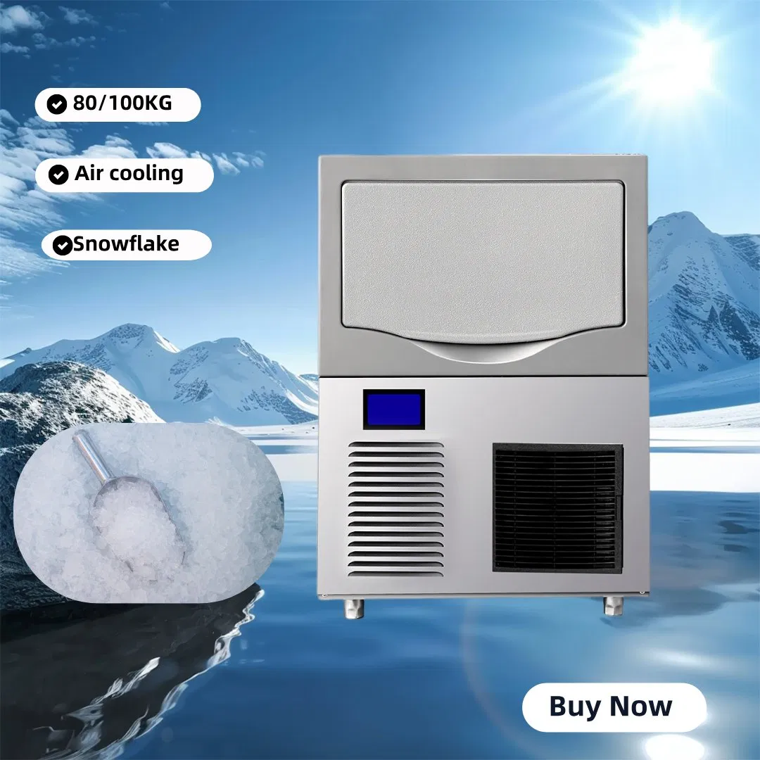 Professional 150kg/24h Snowflake Ice Maker for Factories and Industrial Use
