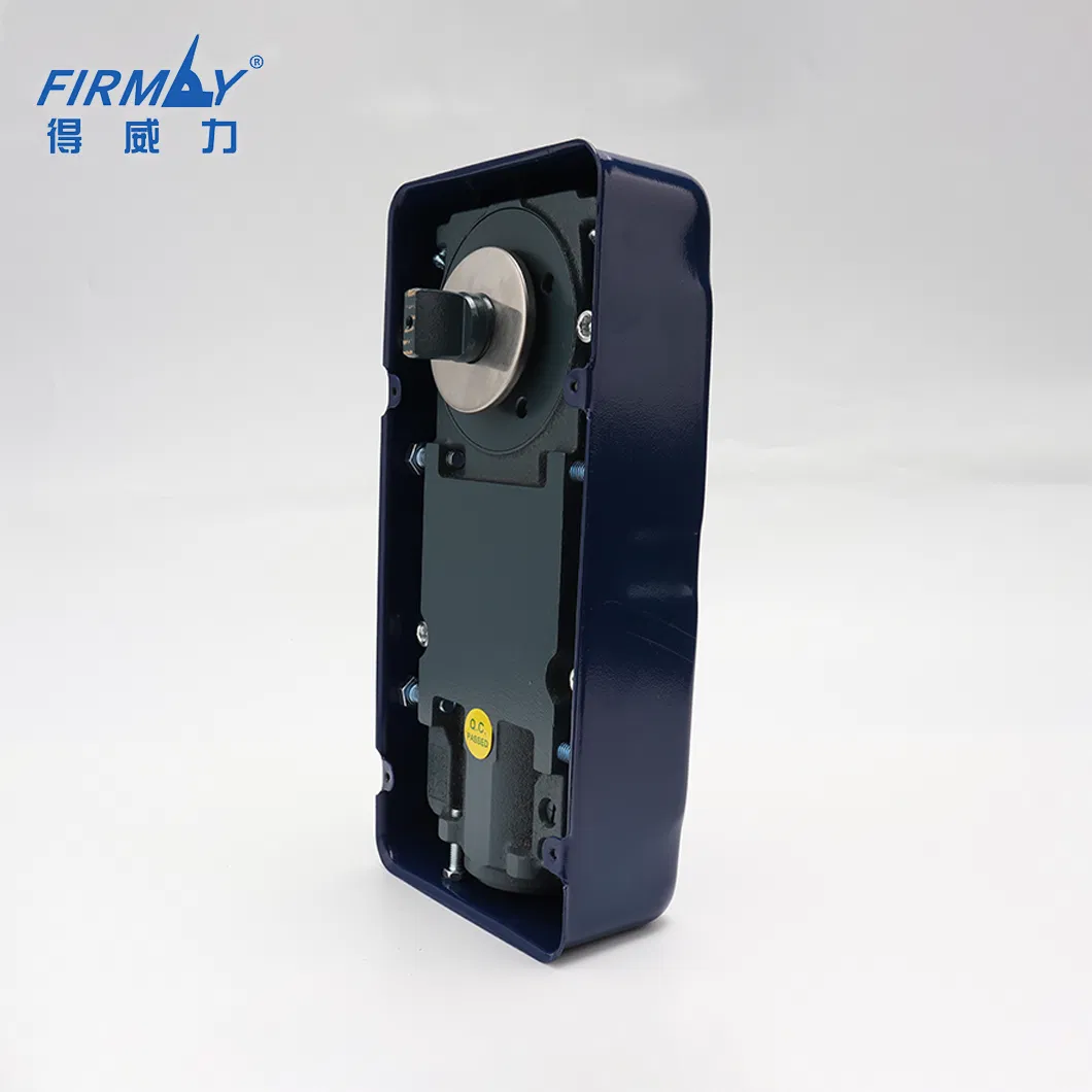 China Supplier Good Quality Hydraulic Glass Door Floor Hinge