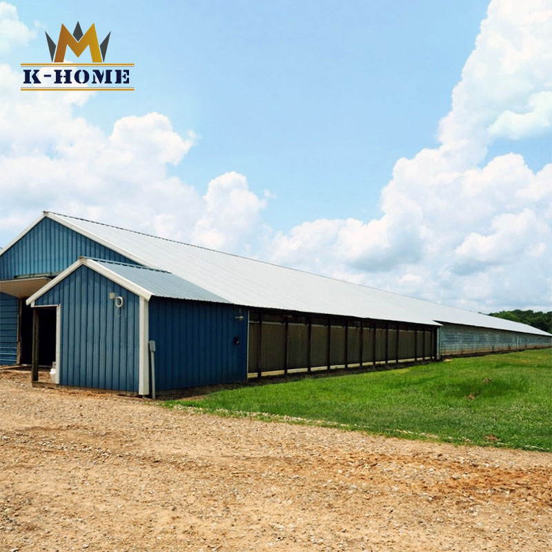 China Cheap Steel Structure Industrial Poultry Broiler Chicken Farm for Sale