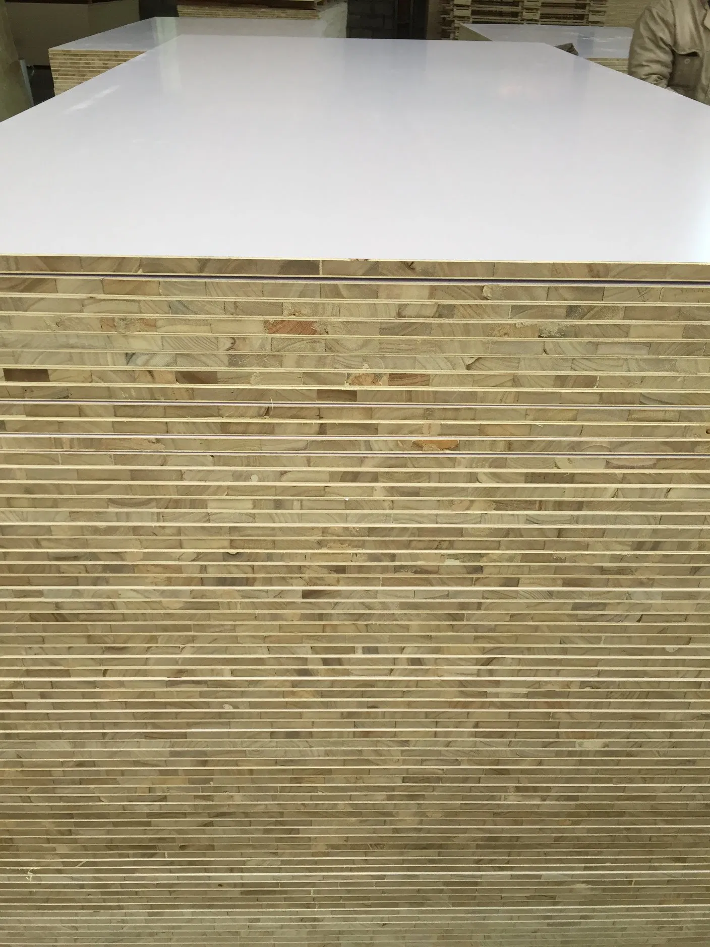 E0/E1 Grade15mm/18mm Melamine Faced Film Plywood Sheet for Furniture