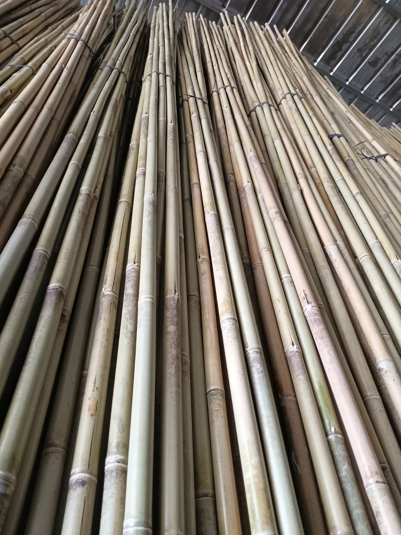All-Natural Classic Bamboo Stakes for Gardening Wholesales Planting Support Pots Climbing Plants Tomato