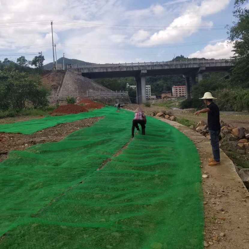 Landscape Vegetation Net Eco-Friendly Easy Laying UV-Resistant Custom Length Free Sample