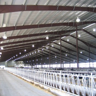 Customized Easy Erected Steel Structure Cow Farm Dairy Cow Shed
