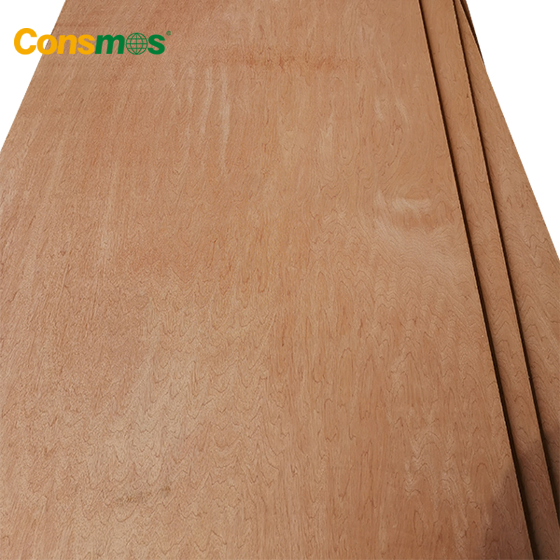 Comsmos 12mm 15mm 18mm Bintangor Okoume Birch Pine Faced Commercial Plywood