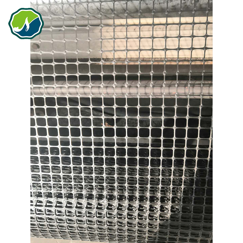 Soil Stabilization Geogrid for Enhanced Ground Stability