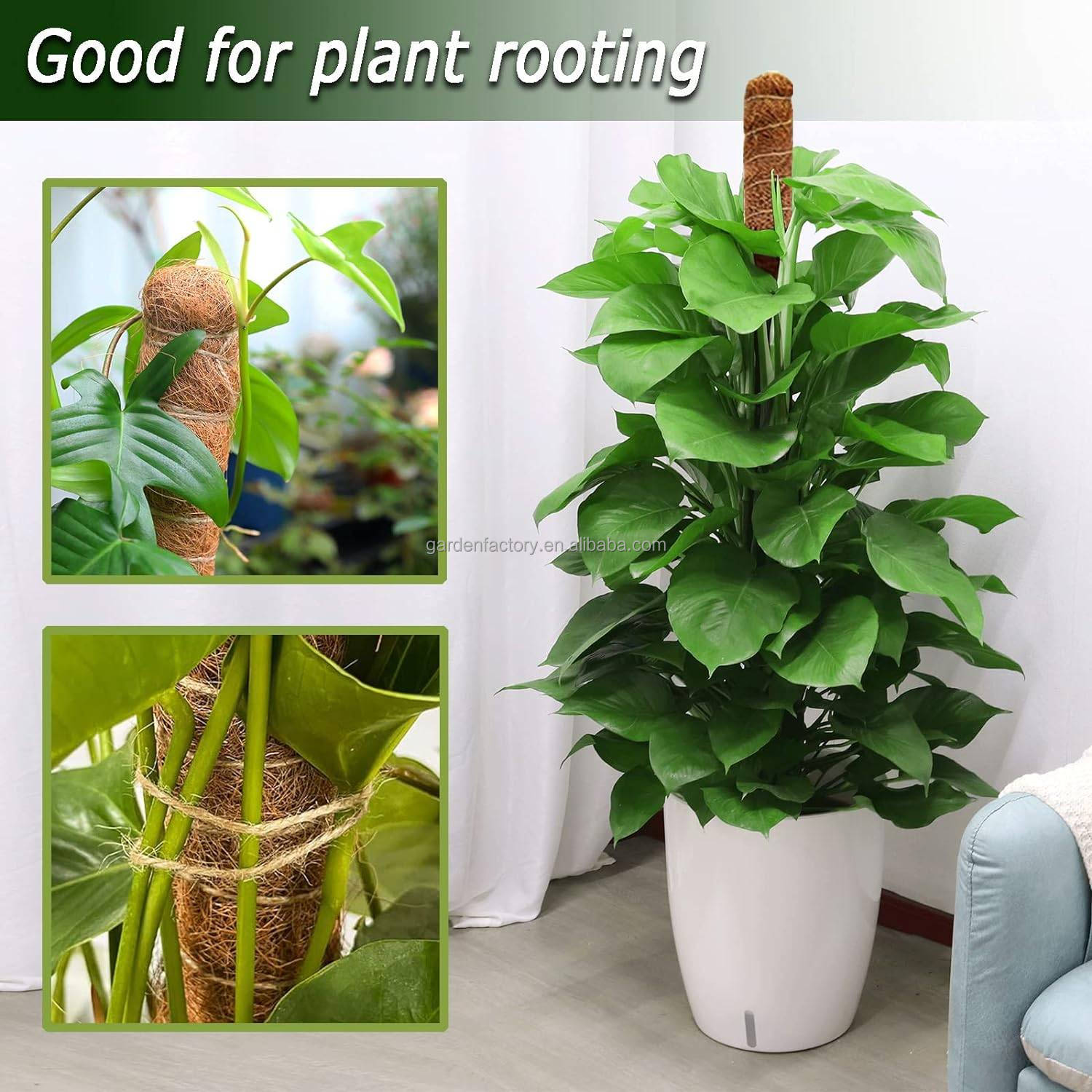 Набор садовый оцинкованный инструменты моховые столбы горшки